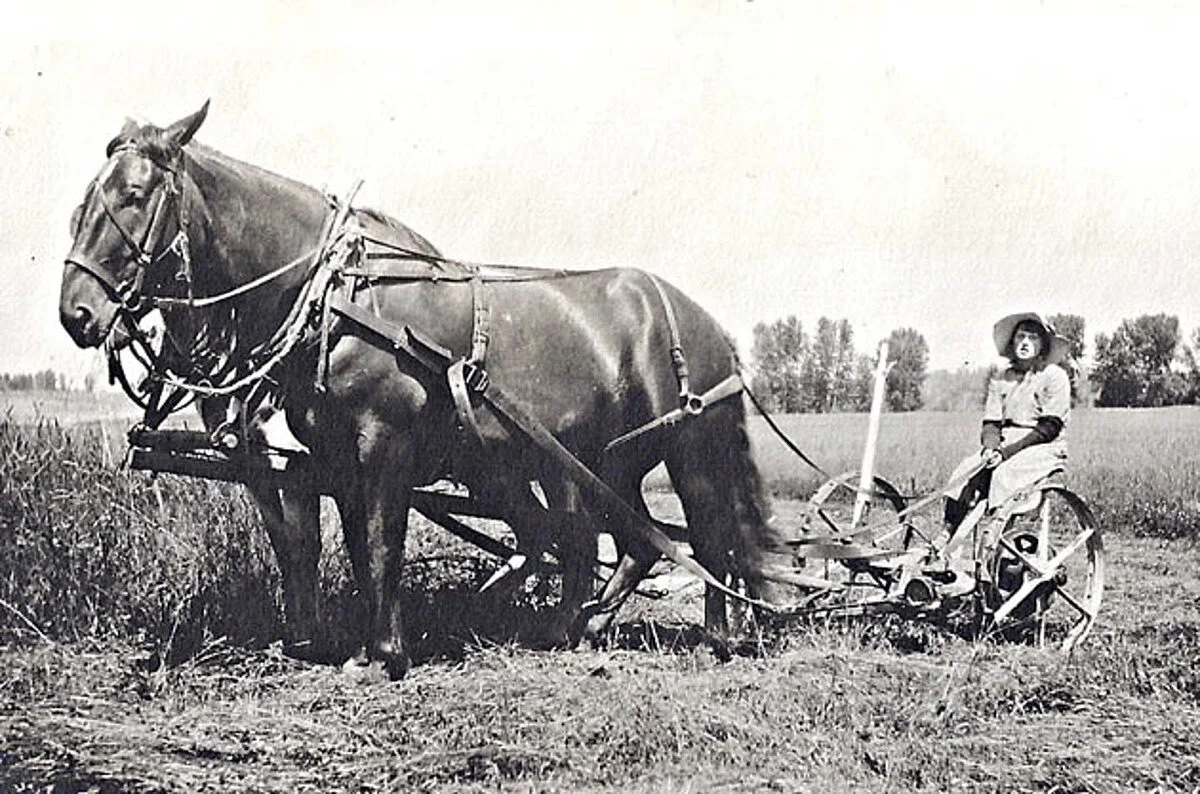 An Agricultural History of the Bitterroot Valley